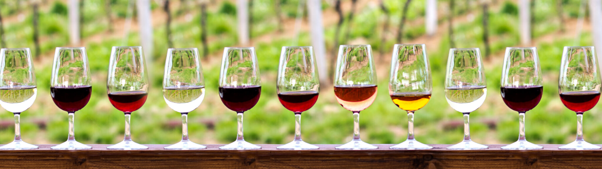 variete-vins-sommit-scaled