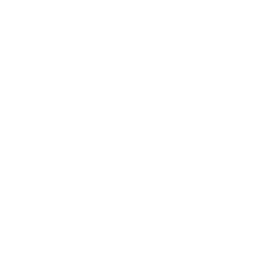 wordpress Icon